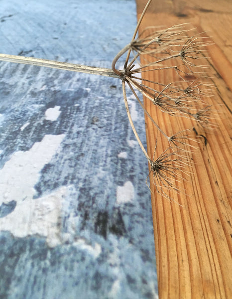 Weathered Print - Breeze