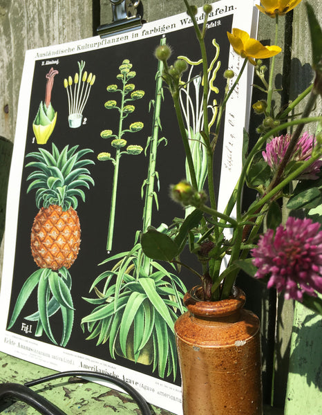 Pineapple Botanical Print Artisan Made